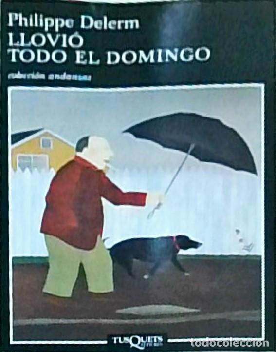 B&uuml;cher: Llovi&oacute; todo el domingo - Philippe Delerm: