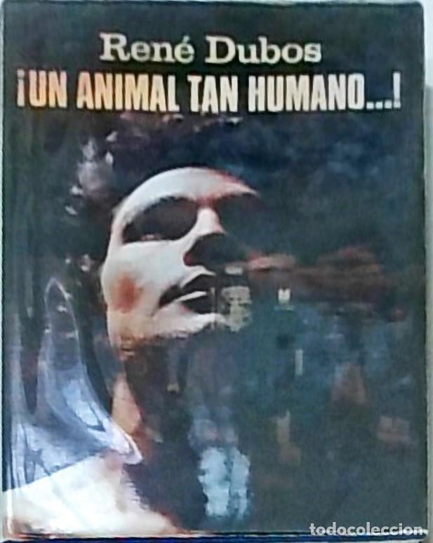 Libros: Un animal tan humano...! - Ren&eacute; Dubos: - Foto 1