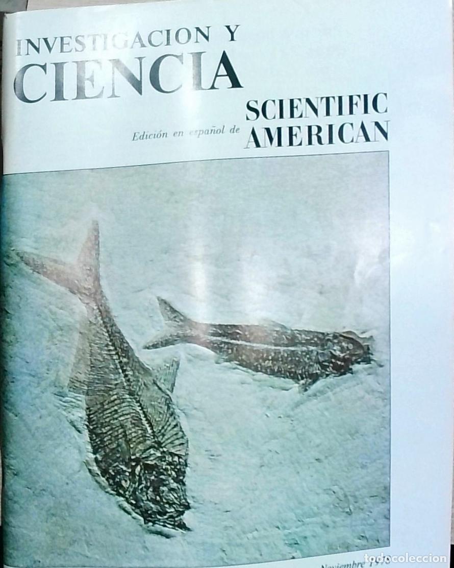 B&uuml;cher: Investigaci&oacute;n y Ciencia n&ordm; 26, Noviembre - REVISTA:
