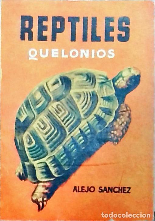 Libros: Reptiles (Quelonios) - S&aacute;nchez, Alejo: - Foto 1