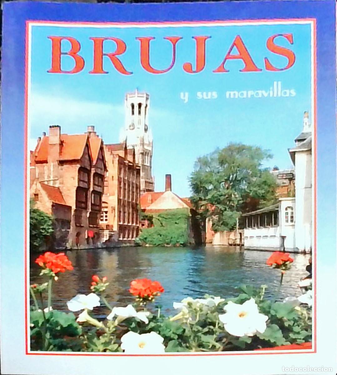 books: Brujas y sus maravillas - Thill S.A.: