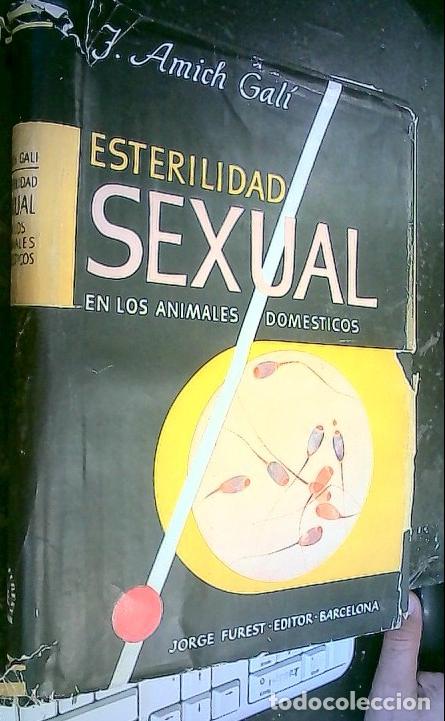 B&uuml;cher: Esterilidad sexual en los animales dom&eacute;sticos - Amich Gal&iacute;, J.: