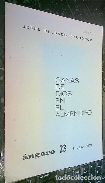 books: Canas de Dios en el almendro - Delgado Valhonodo, Jes&uacute;s: