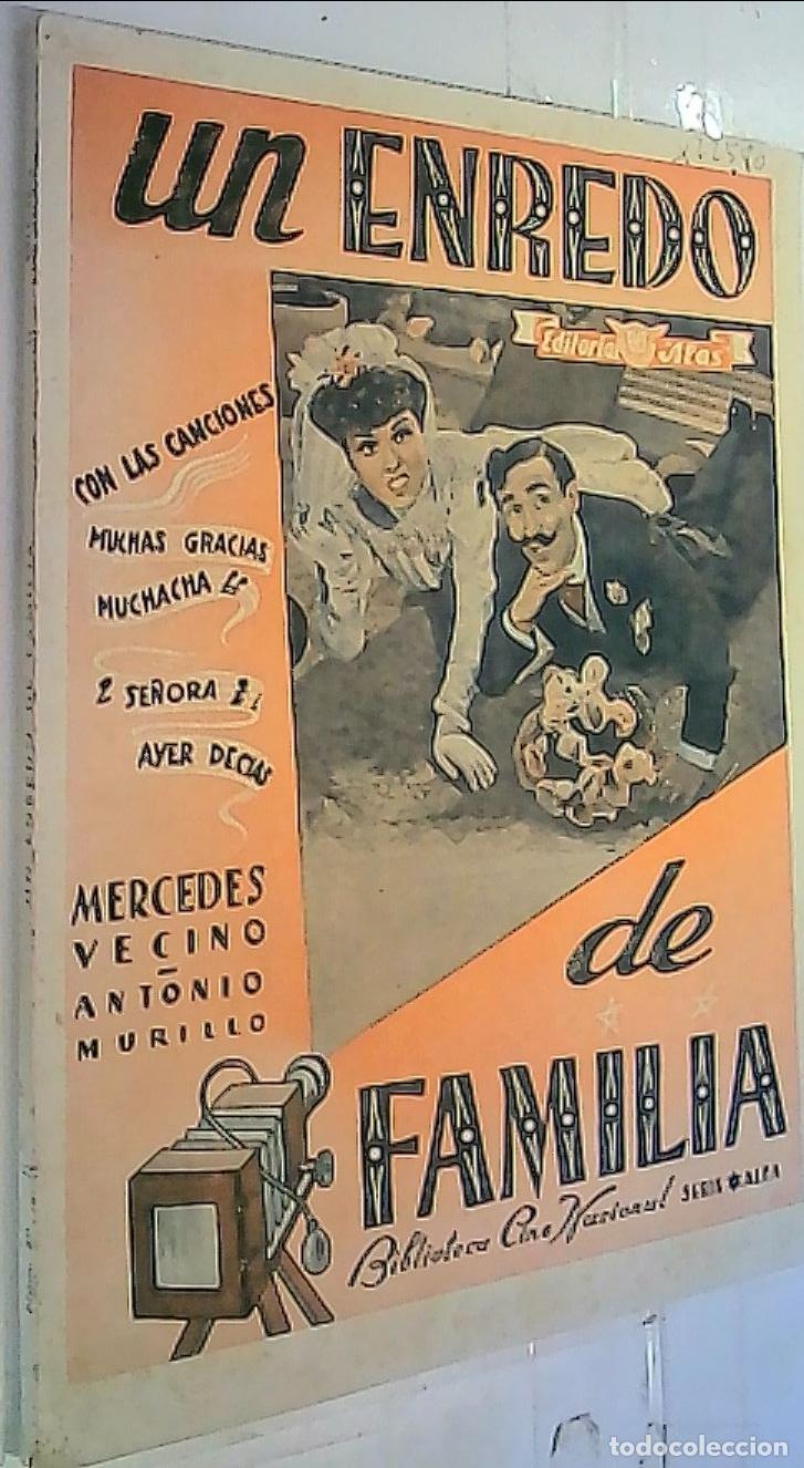 B&uuml;cher: Un enredo de familia - Mercedes Vecino. Antonio Murillo: