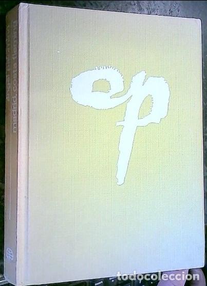 Libros: Madrid, Costa Fleming - Palomino, &Aacute;ngel: - Foto 1