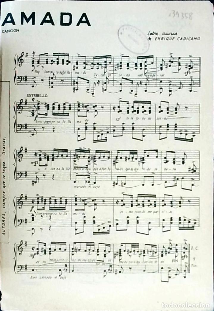 Libros: Amada: canci&oacute;n - Cadicamo, Enrique: - Foto 1