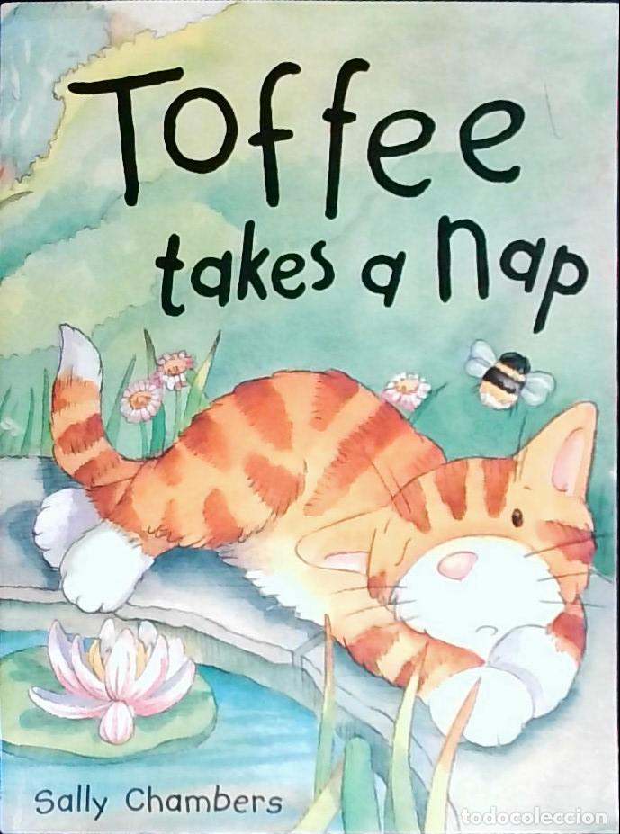 Libros: Toffe: takes a nap - Chambers, Sally: - Foto 1