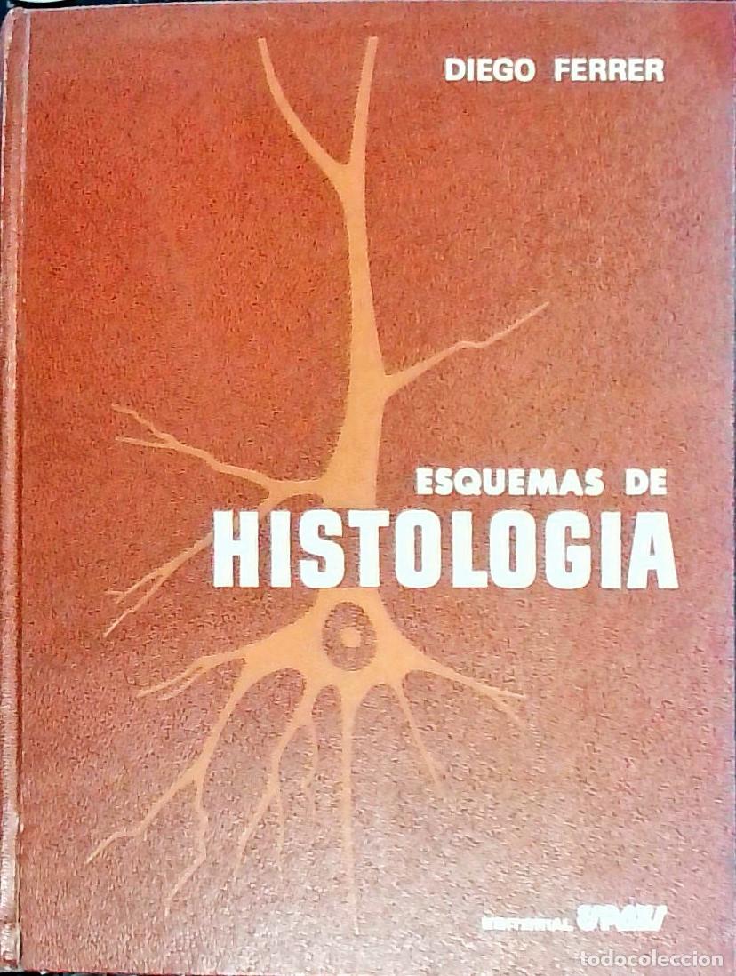 B&uuml;cher: Esquemas de Histolog&iacute;a - Ferrer, Diego:
