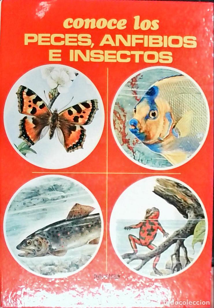 Libri di seconda mano: Conoce los peces, anfibios e insectos - Frisch, Otto von: