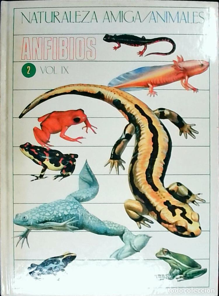 B&uuml;cher: Anfibios 2, Vol. IX - Portela Pe&ntilde;as, Isabel y Cabello P&eacute;rez, Lourdes: