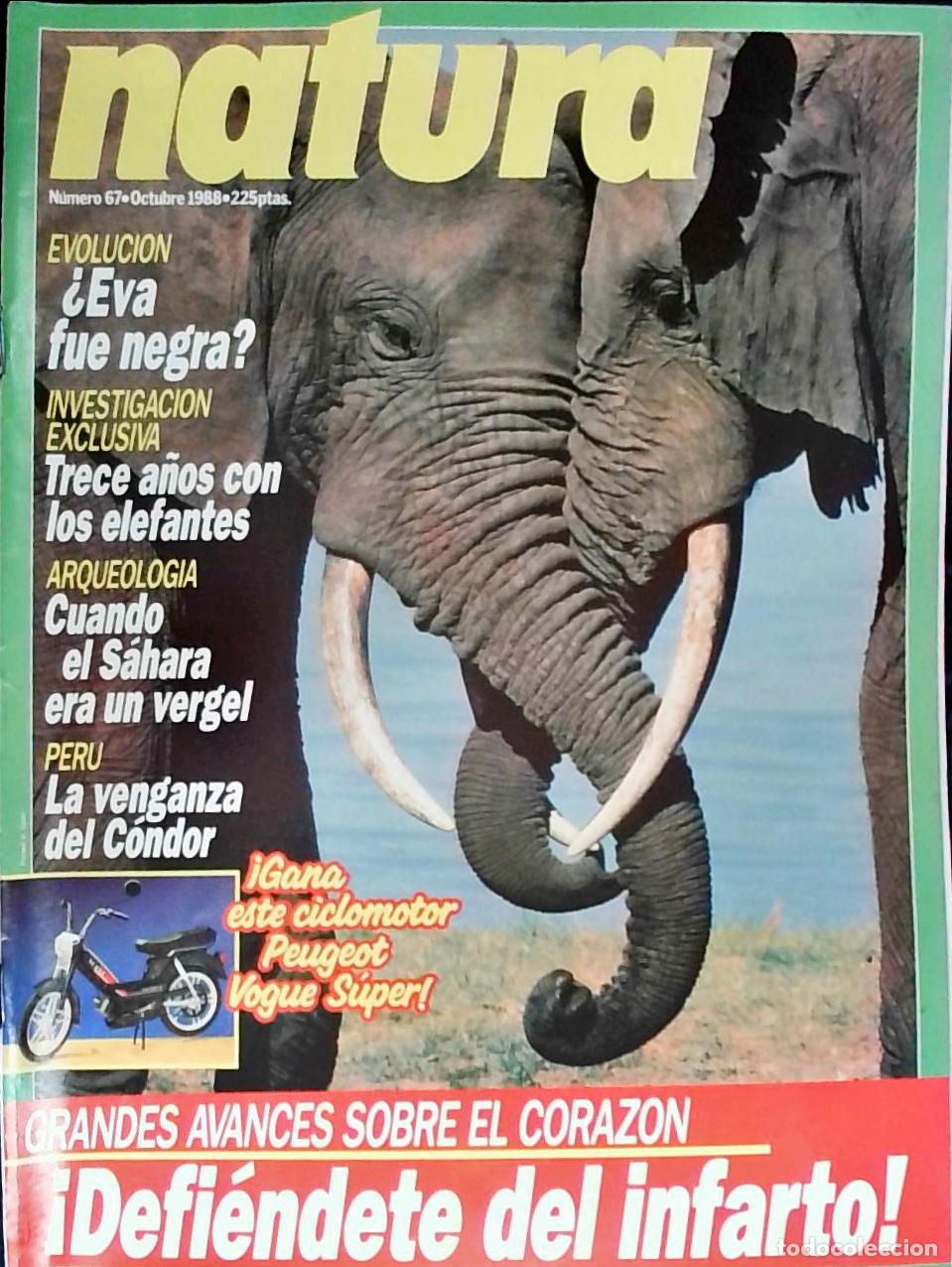 Libros: Revista Natura n&ordm; 67 - Autores Varios: