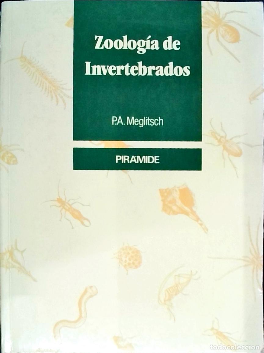 B&uuml;cher: Zoolog&iacute;a de invertebrados - Meglitsch, Paul A.: