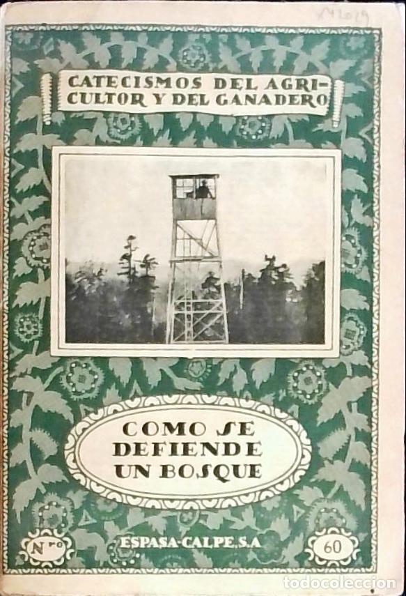 books: C&oacute;mo se defiende un bosque - Xim&eacute;nez de Emb&uacute;n, Joaqu&iacute;n: