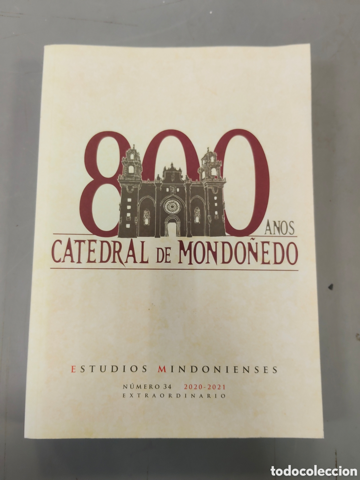 Libros: C&aacute;tedra de Mondo&ntilde;edo estudios Mindonienses