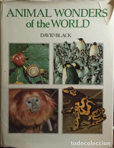 B&uuml;cher: BLACK. (David) - ANIMAL WONDERS OF THE WORLD.
