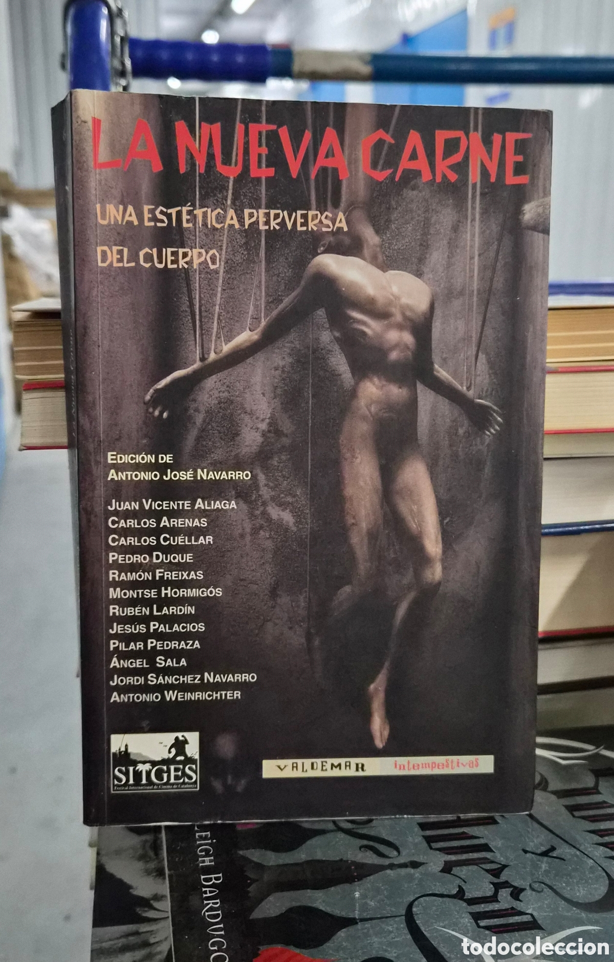 B&uuml;cher: LA NUEVA CARNE. UNA EST&Eacute;TICA PERVERSA DEL CUERPO. A.J. NAVARRO (Ed.) VALDEMAR. INTEMPESTIVAS. 2002.