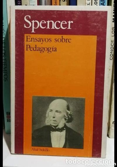 B&uuml;cher: Ensayos de Pedagog&iacute;a- 9788473396882