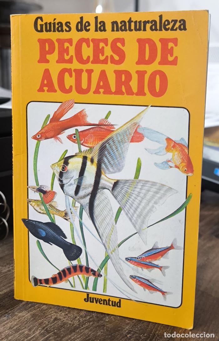 Libros: PECES DE ACUARIO. GU&Iacute;A DE LOS PECES DE ACUARIO DE AGUA DULCE - David Ford