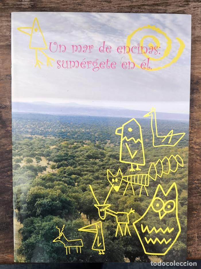 Libri di seconda mano: UN MAR DE ENCINAS: SUM&Eacute;RJETE EN &Eacute;L