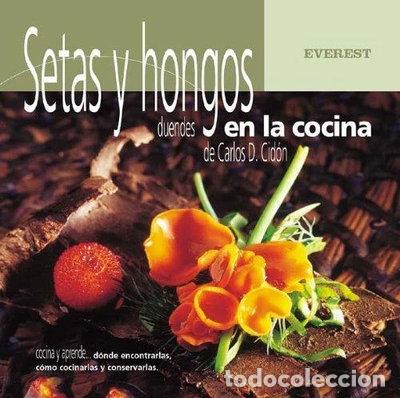 Livros em segunda m&atilde;o: Setas y hongos, duendes en la cocina- 9788424184551
