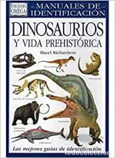 books: Dinosaurios y vida prehist&oacute;rica- 9788428213738
