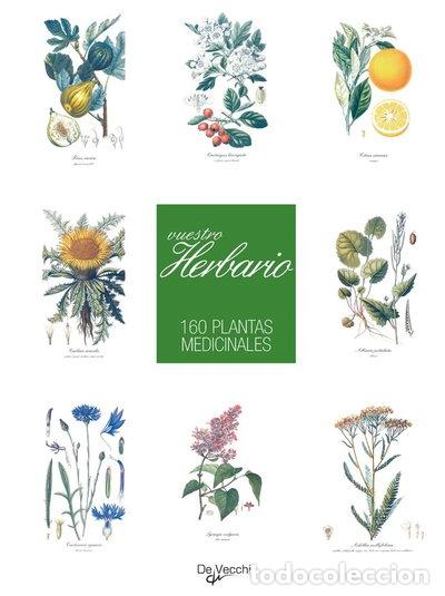Libros: Vuestro Herbario- 9788431535599