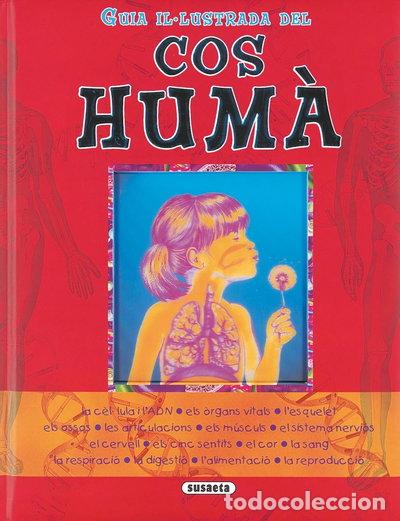 Libri di seconda mano: Guia il-lustrada del cos hum&agrave;- 9788430560967