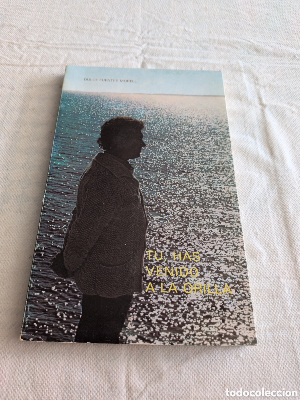 books: T&uacute;, has venido a la orilla - Dulce Fuentes Morell. Alicante 1982