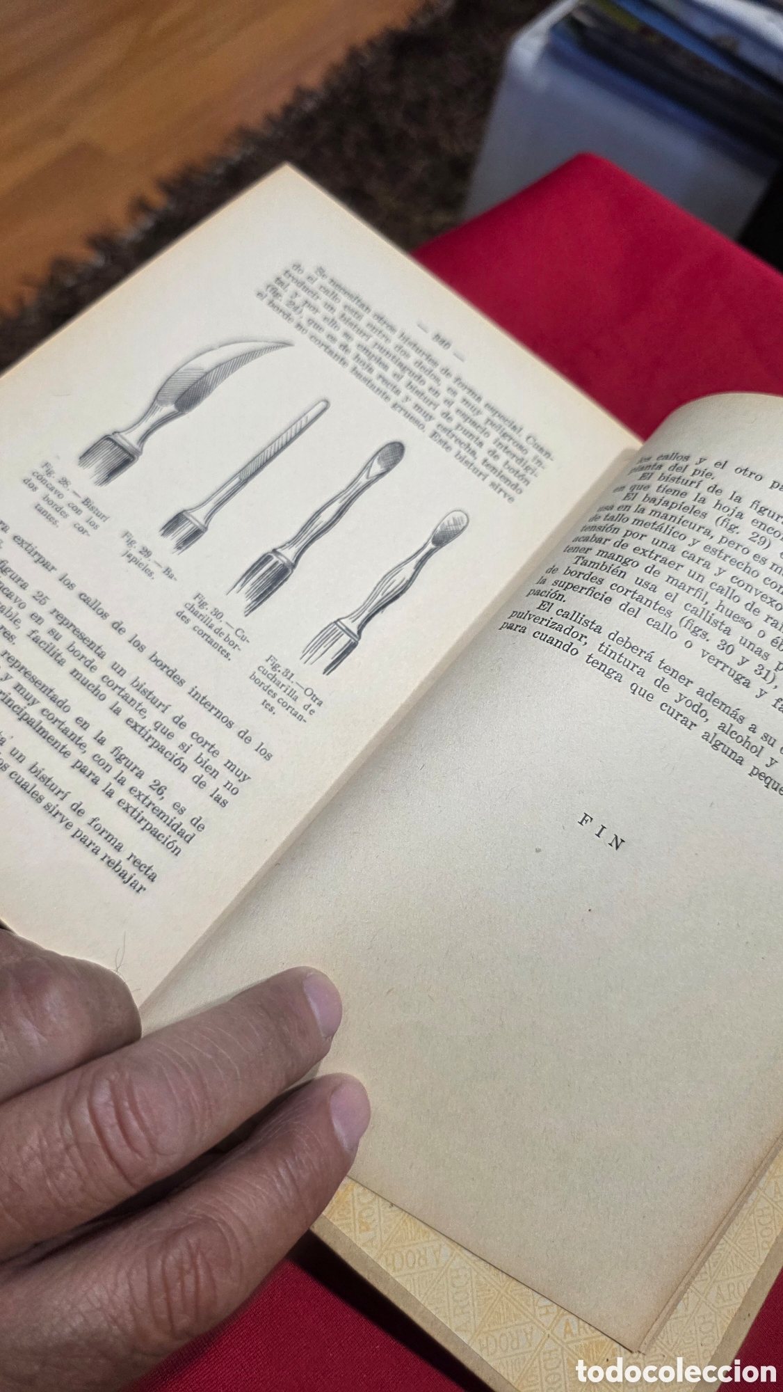 Libros: PRODUCTOS DE BELLEZA - Foto 11