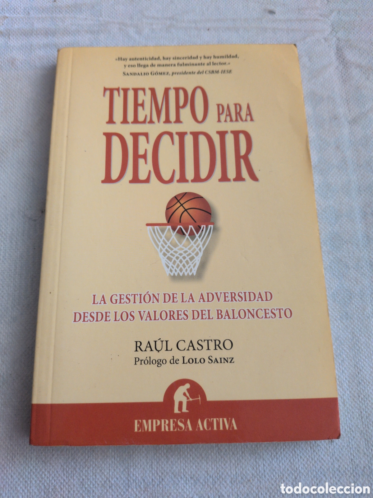 Libros: Tiempo para decidir. La gesti&oacute;n de la adversidad desde los valores del baloncesto - Ra&uacute;l Castro.