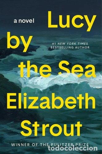 Libros: Lucy by the Sea- 9780593446065