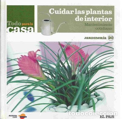 Libri di seconda mano: Cuidar las plantas de interior. Mantenimiento cotidiano- 9788498202847