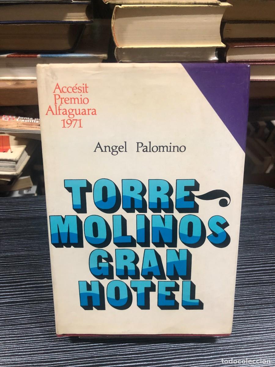 Libros: Torremolinos Gran Hotel &Aacute;ngel Palomino