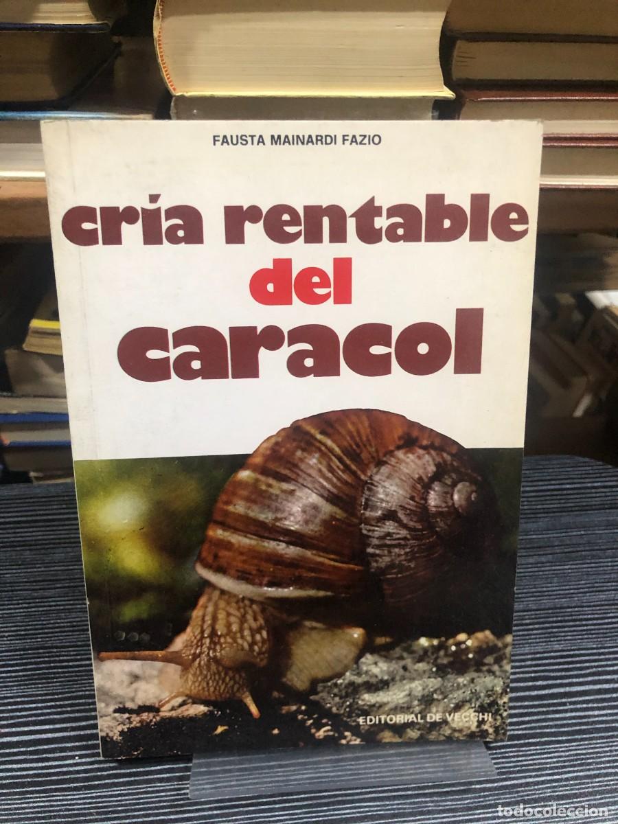 Libros: Cr&iacute;a rentable del caracol Fausta Mainardi Fazio - Foto 1