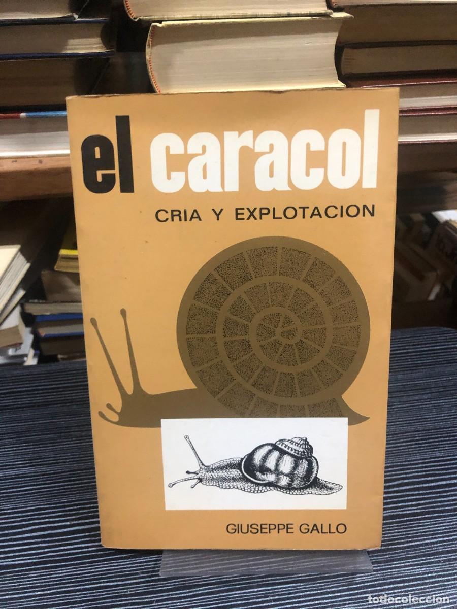 Libros: El Caracol: Cr&iacute;a y explotaci&oacute;n Giuseppe Gallo - Foto 1