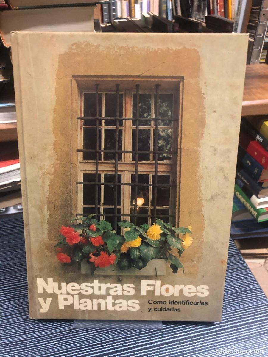 Libros: Nuestras Flores y Plantas: C&oacute;mo identificarlas y cuidarlas