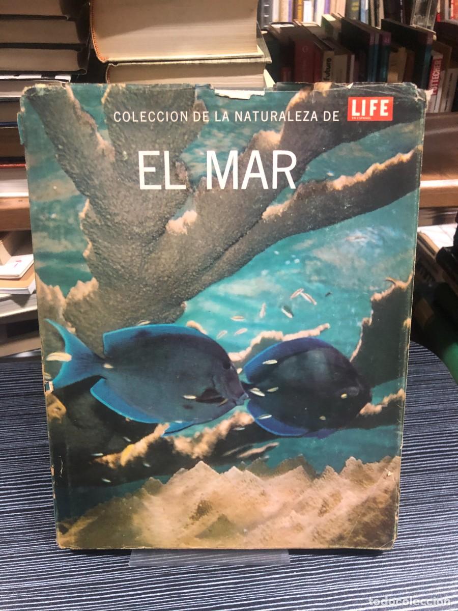 Libros: Colecci&oacute;n de la Naturaleza de LIFE: El Mar Editorial Time-Life
