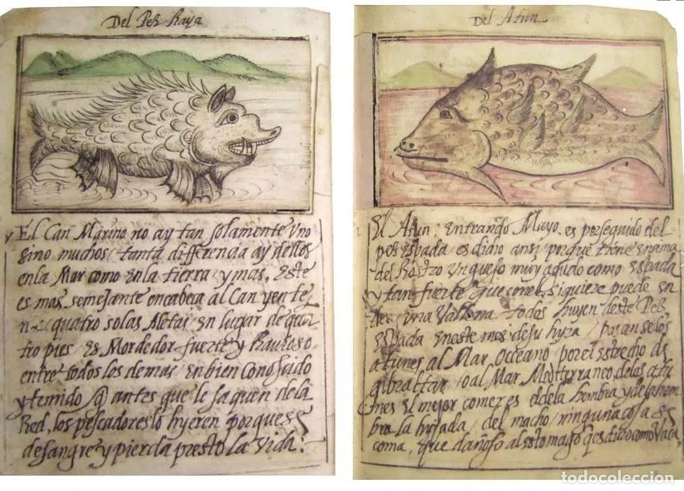 Libros: Bestiario de Juan de Austria -
