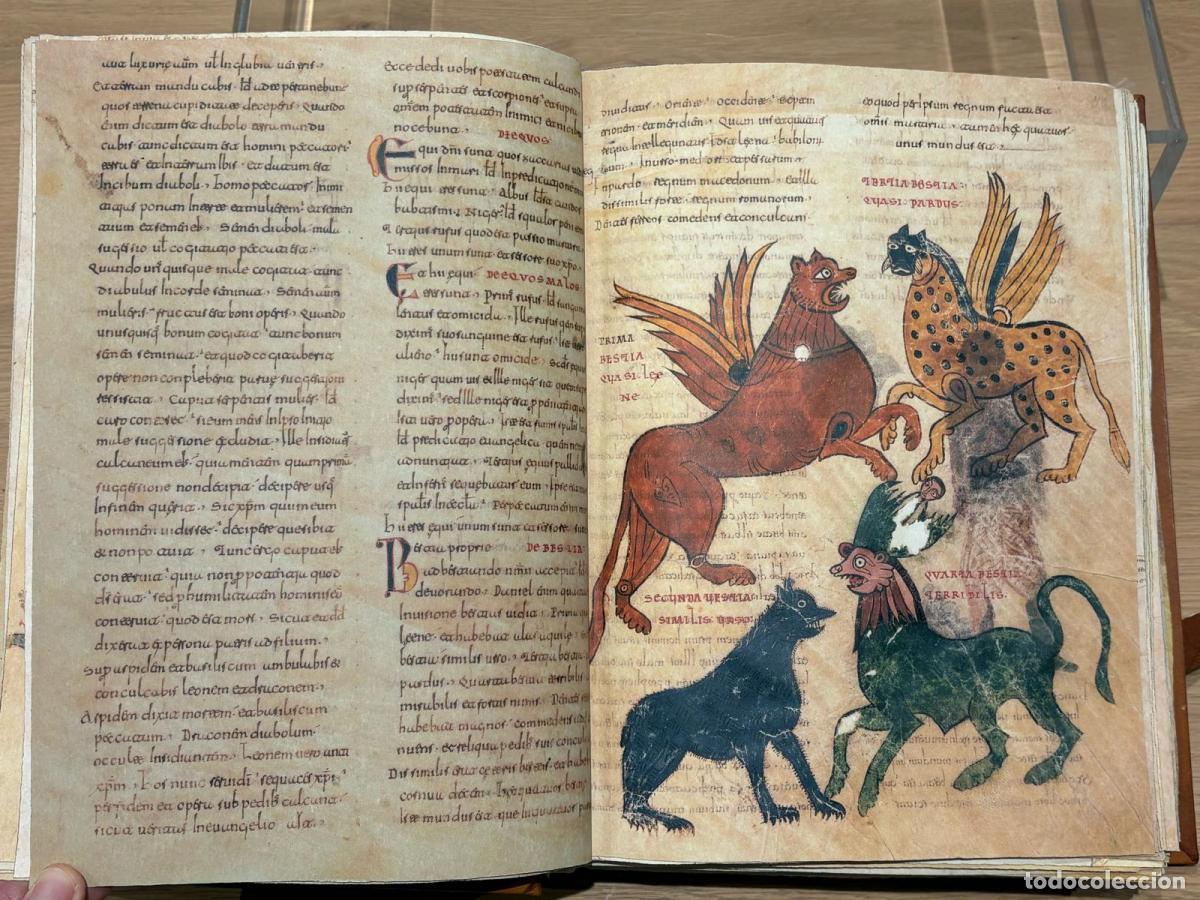 Libros: Beato de Valcavado -