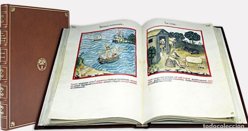 Libros: Theatrum Sanitatis -