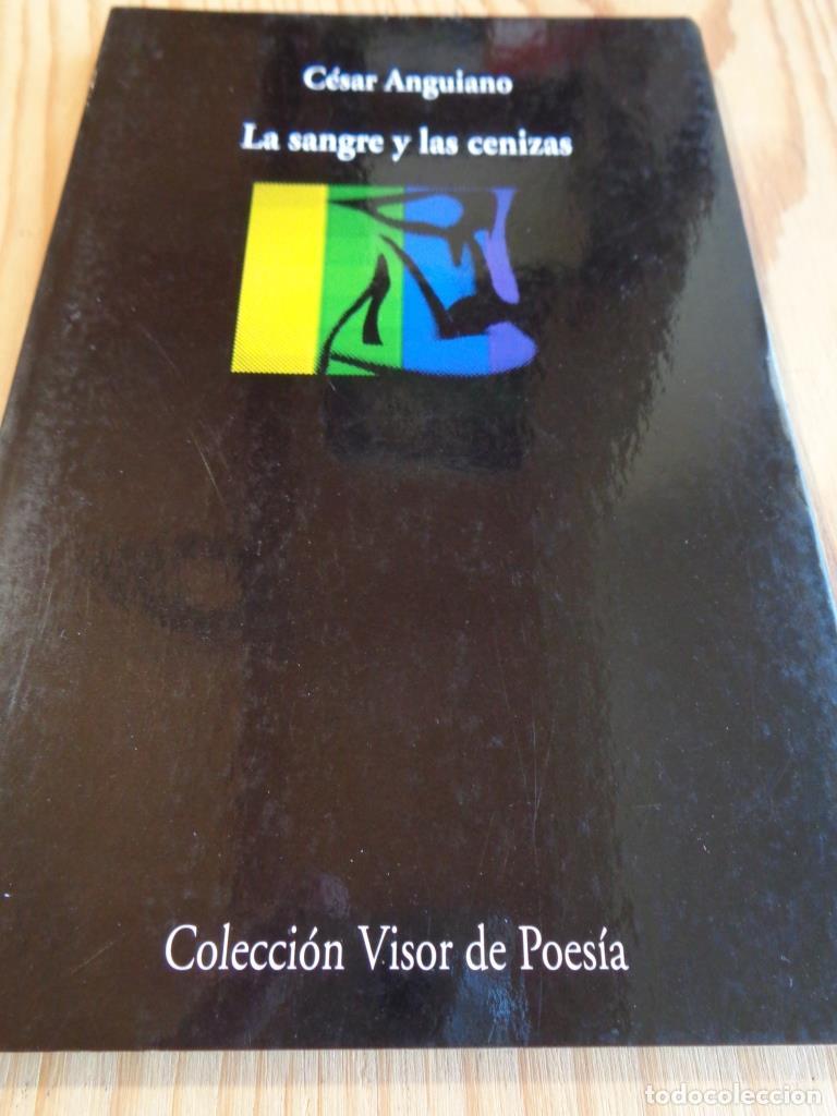 Libros: LA SANGRE Y LASA CENIZAS - C&Eacute;SAR ANGUIANO