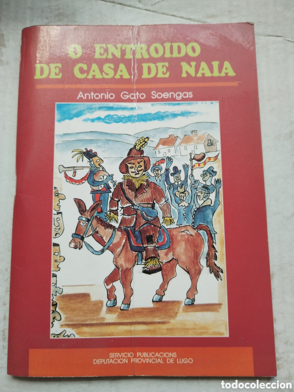 Libros: O ENTROIDO DE CASA DE NAIA