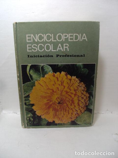 Livres: ENCICLOPEDIA ESCOLAR H. S. R. Iniciaci&oacute;n Profesional (doce-quince a&ntilde;os) - Varios Autores