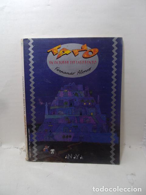 Livres: TANO EN LA TORRE DEL LABERINTO - Fernando Alonso