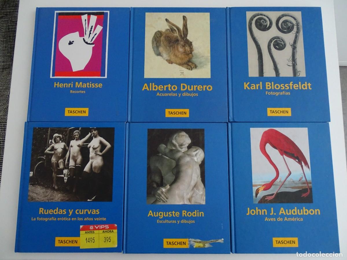 Libros: Taschen, tapas azules : lote 6 vv. Audubon, Rodin, Blossfeldt, Matisse, Durero, fotograf&iacute;a er&oacute;tica.