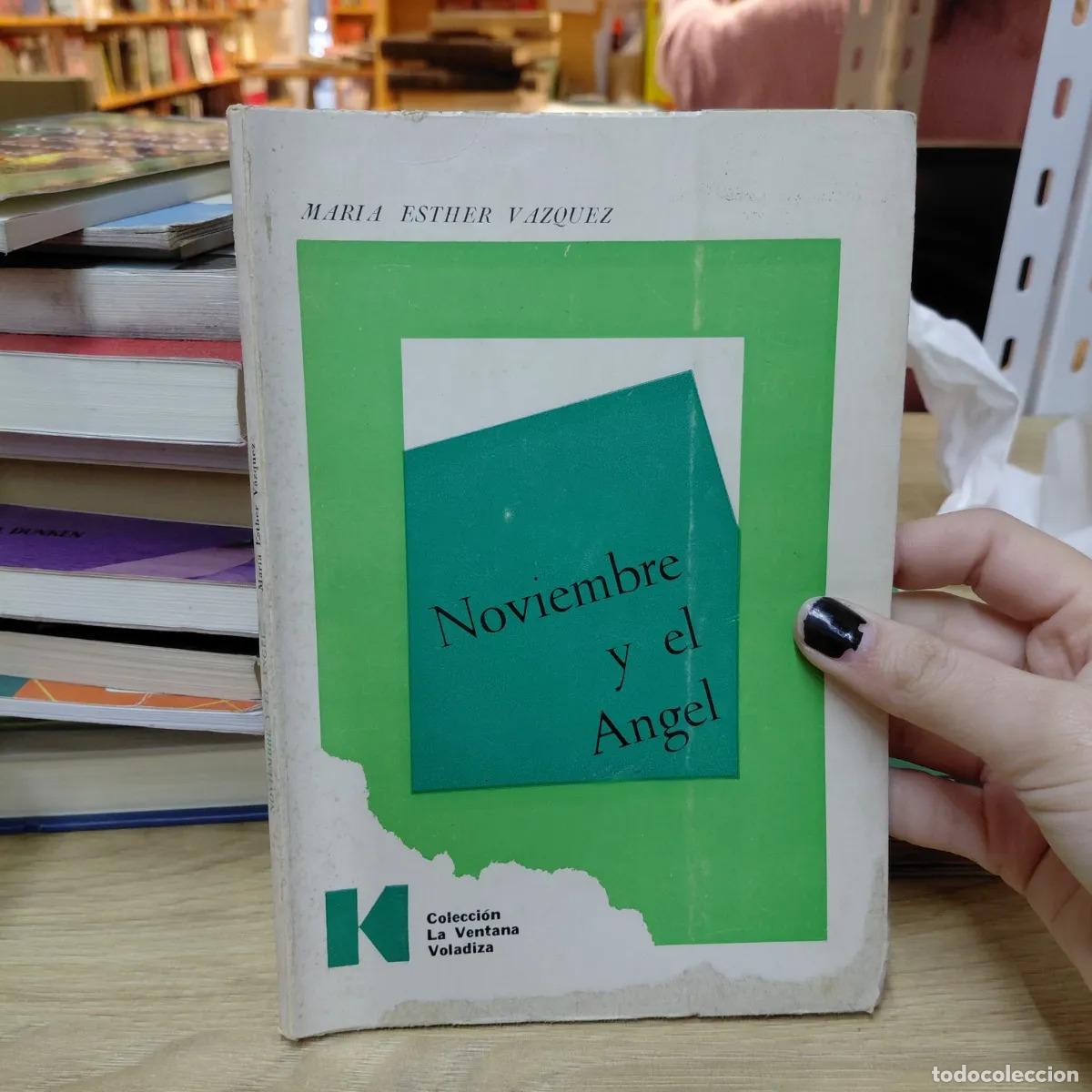 Libros: Noviembre y el angel (det.) - Maria Esther Vazquez