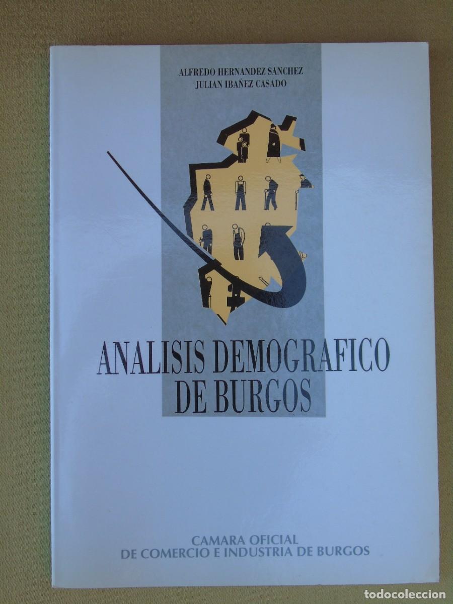 Libros: AN&Aacute;LISIS DEMOGR&Aacute;FICO DE BURGOS 1993. ALFREDO HERN&Aacute;NDEZ S&Aacute;NCHEZ, JULIAN IB&Aacute;&Ntilde;EZ CASADO.