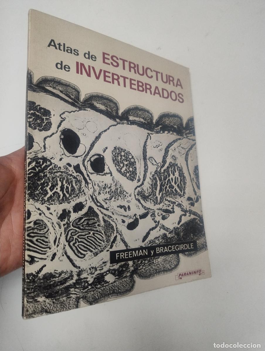 Libros: ATLAS&nbsp;DE ESTRUCTURA&nbsp;INVERTEBRADOS - Freeman y Bracegirdle