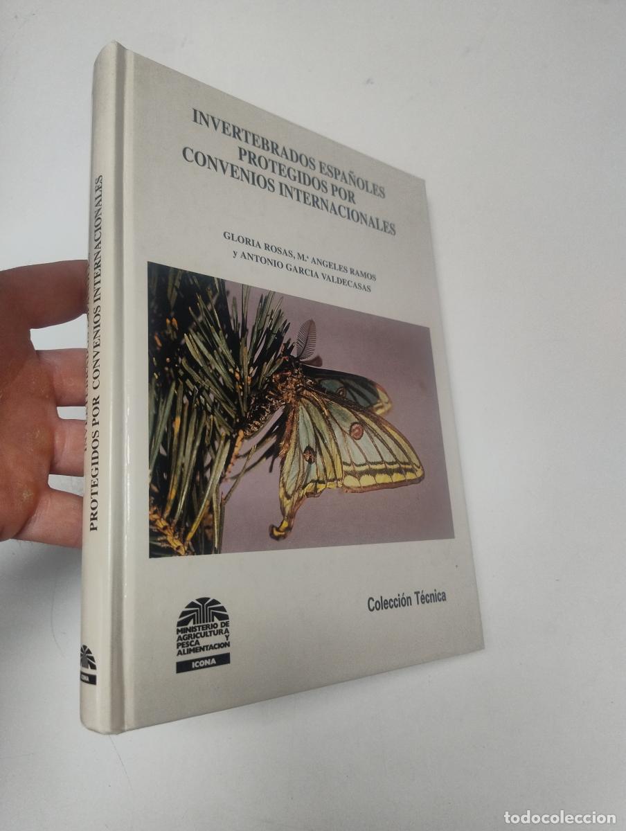 Libros: Invertebrados espa&ntilde;oles protegidos por convenios internacionales - Gloria Rosas, M&ordf; &Aacute;ngeles Ramos y