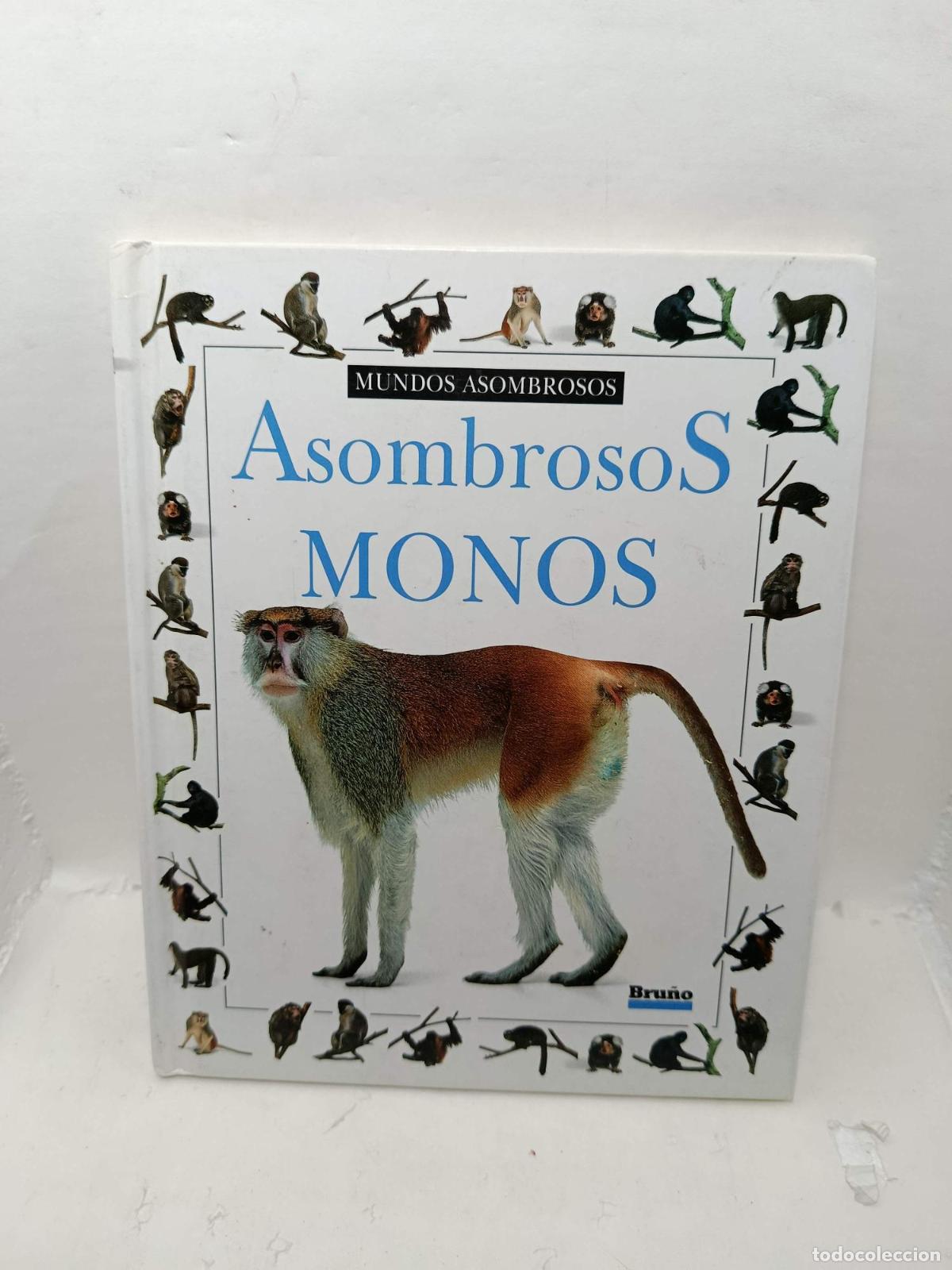 B&uuml;cher: ASOMBROSOS MONOS - Scott Steedman